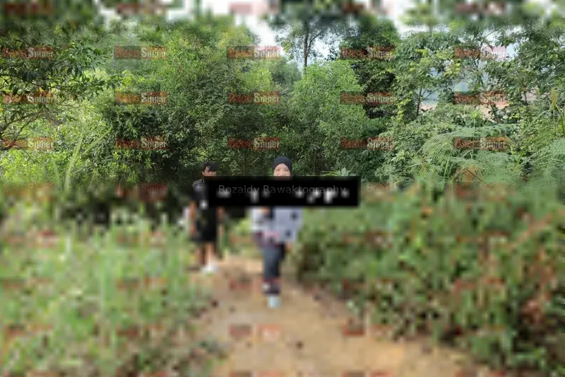 Photo ID 8423271