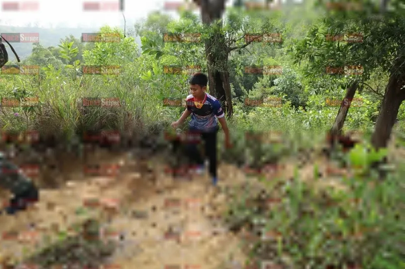 Photo ID 8423283