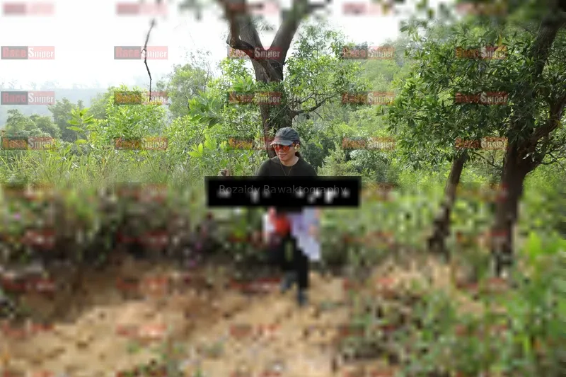 Photo ID 8423287
