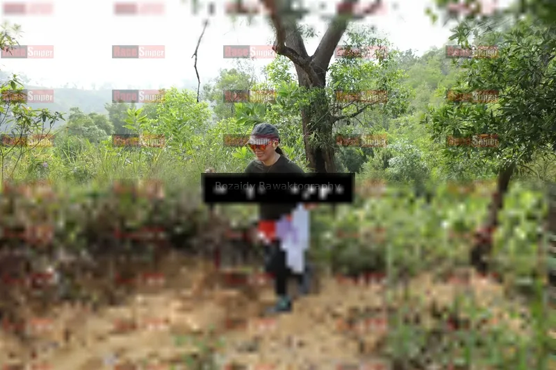 Photo ID 8423304