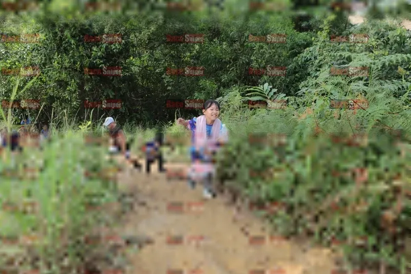Photo ID 8423453
