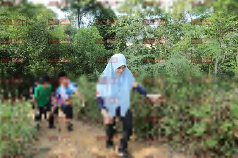 Photo ID 8423479