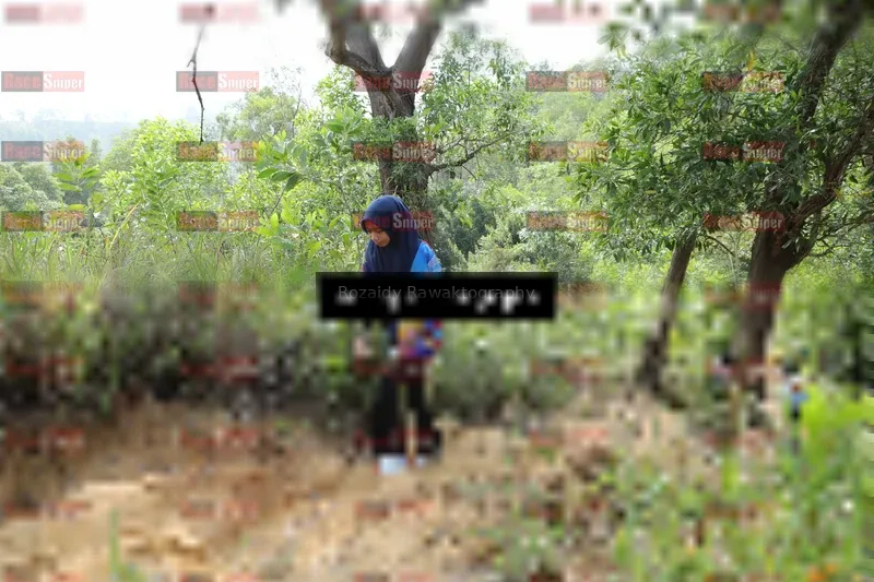 Photo ID 8423494