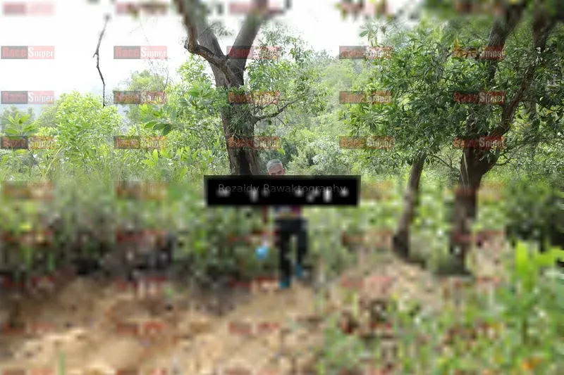 Photo ID 8423501