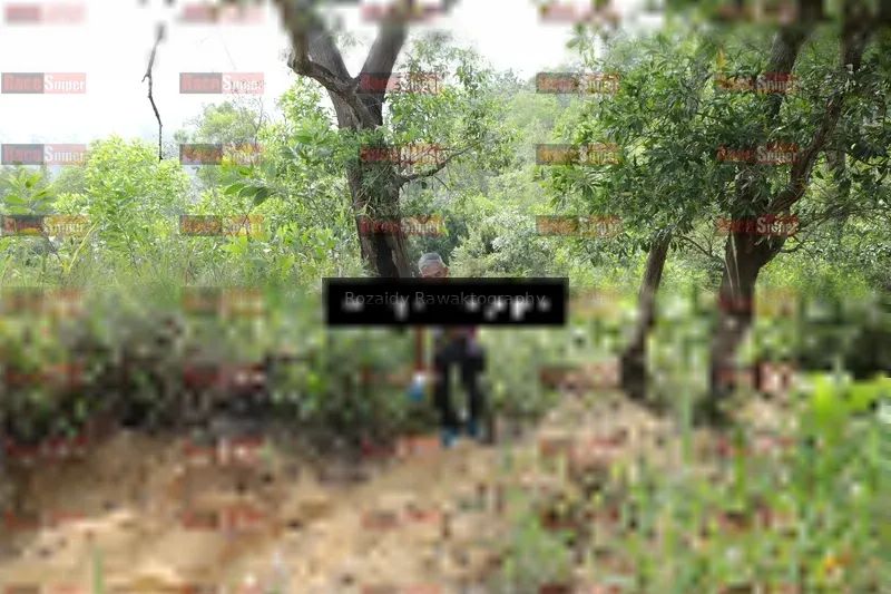 Photo ID 8423503