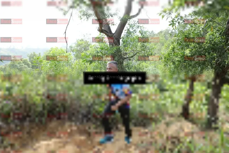Photo ID 8423507