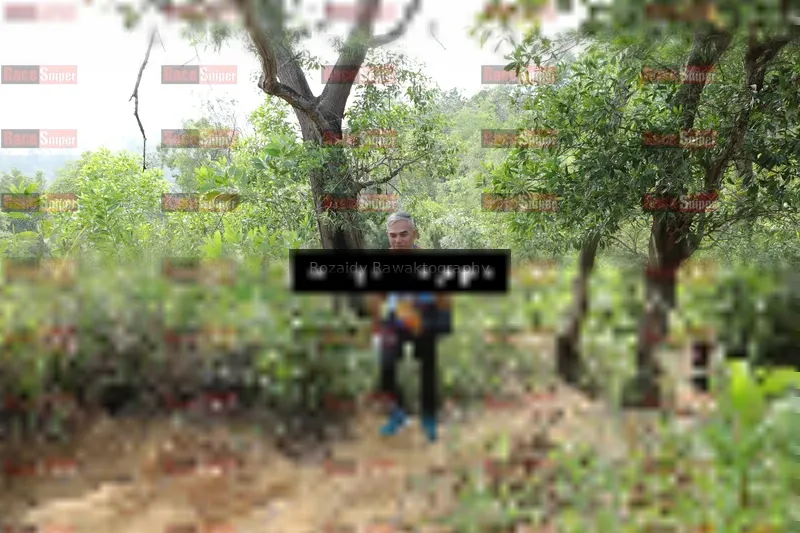 Photo ID 8423513