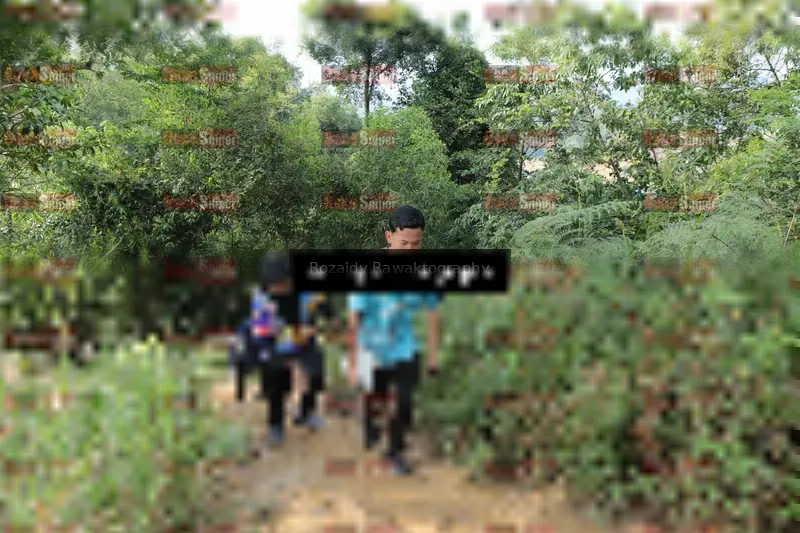 Photo ID 8423527