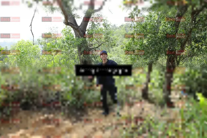 Photo ID 8423541