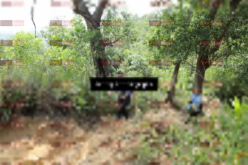Photo ID 8423544
