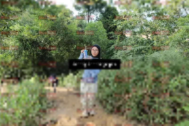 Photo ID 8423607