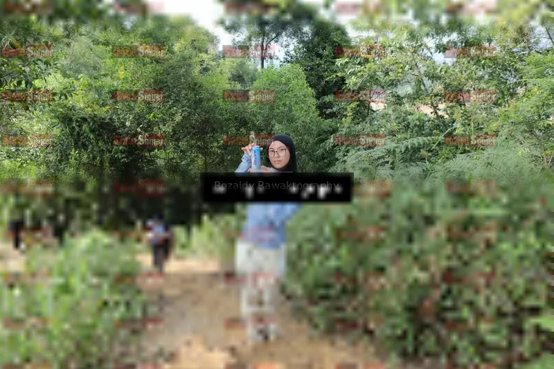 Photo ID 8423642