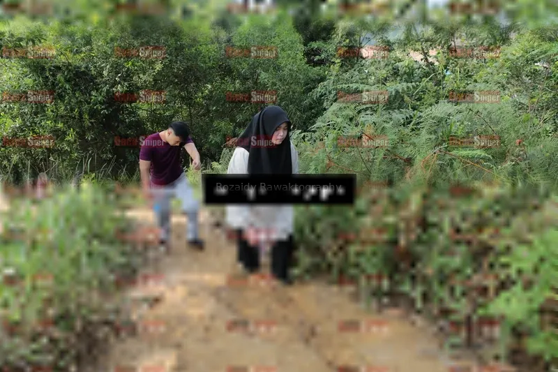 Photo ID 8423657