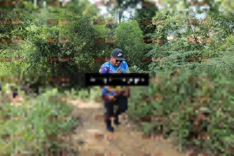 Photo ID 8423691
