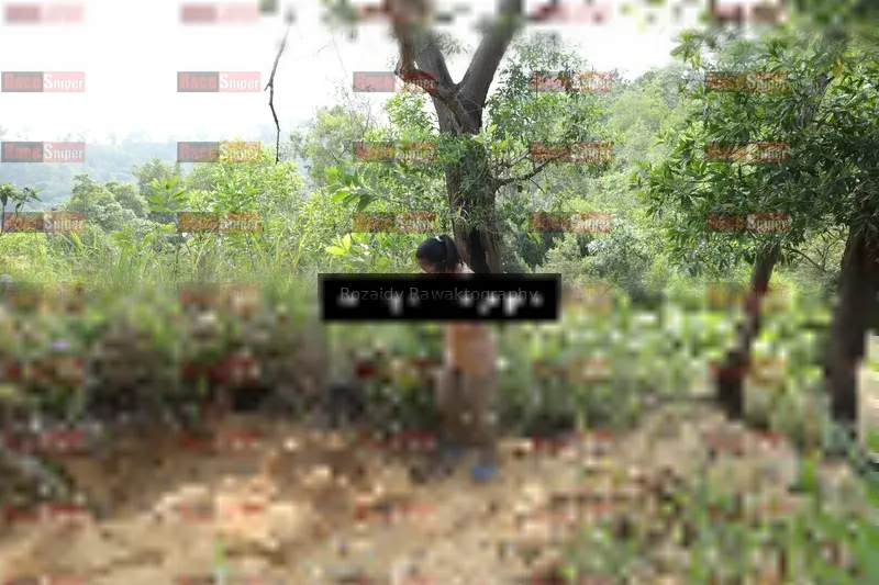 Photo ID 8423717