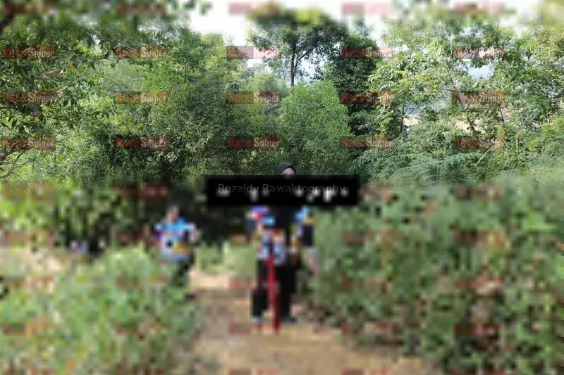 Photo ID 8423725