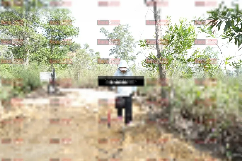 Photo ID 8424018