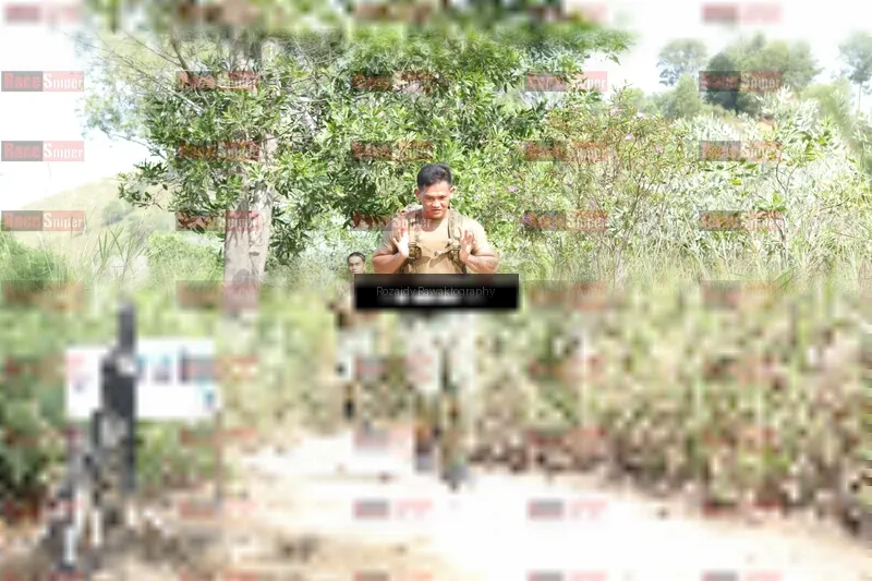 Photo ID 8424021