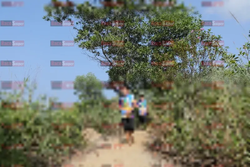 Photo ID 8424204