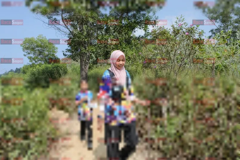 Photo ID 8424310