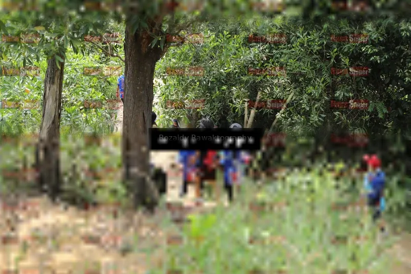 Photo ID 8424425