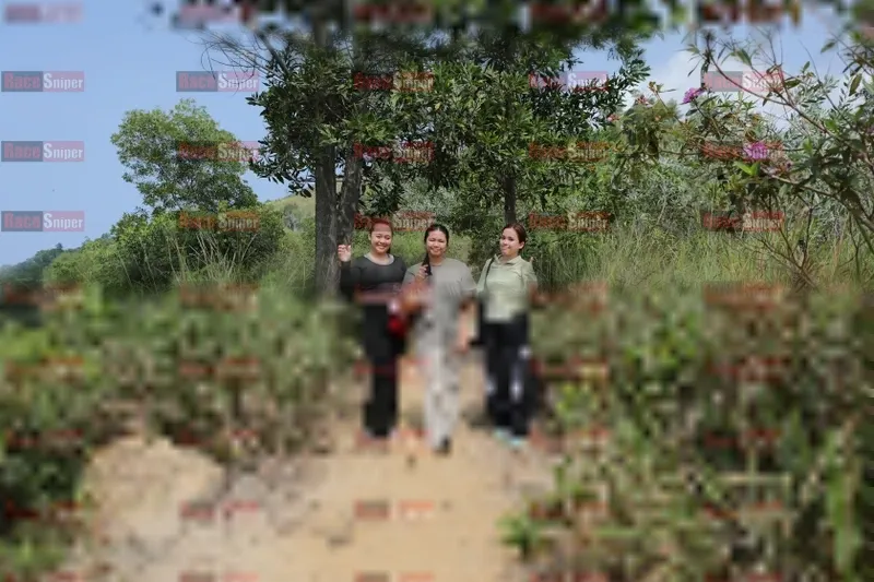 Photo ID 8424452