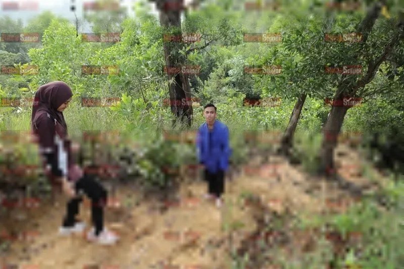 Photo ID 8424827