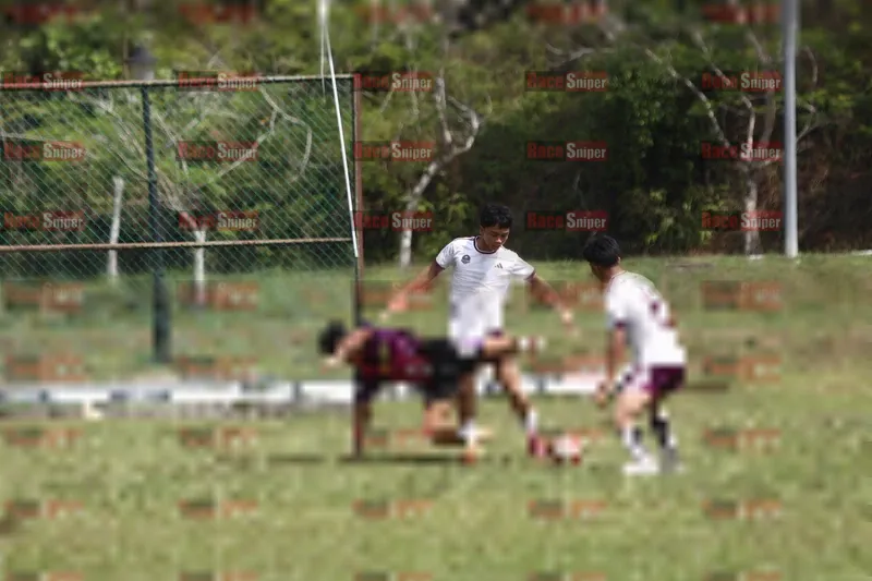Photo ID 8425821