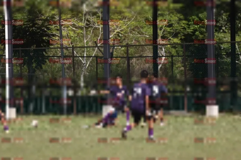 Photo ID 8426162