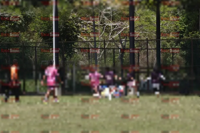 Photo ID 8427111