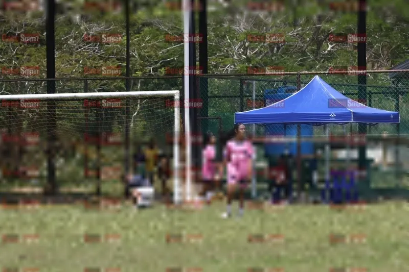 Photo ID 8427138
