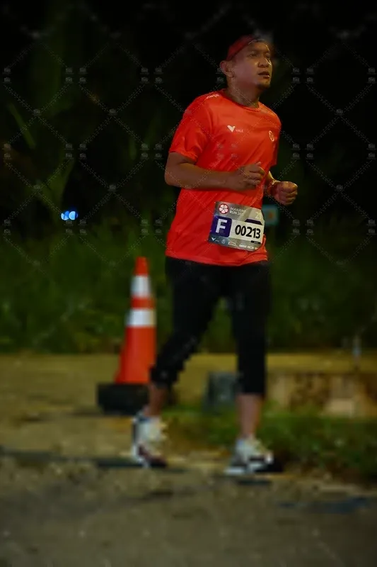 Photo ID 8428088