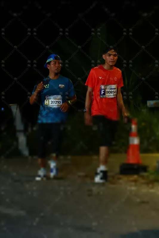 Photo ID 8428098