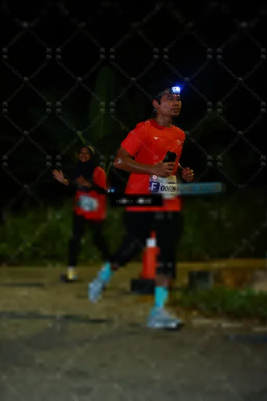Photo ID 8428133