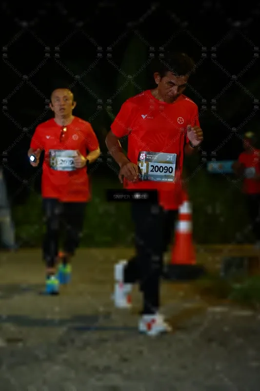 Photo ID 8428215