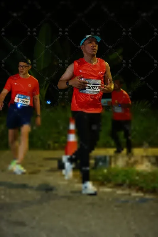 Photo ID 8428233