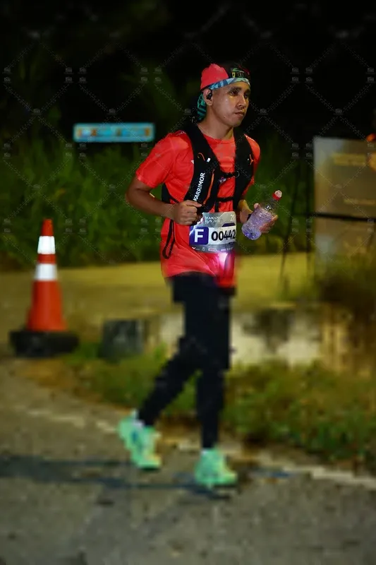 Photo ID 8428451