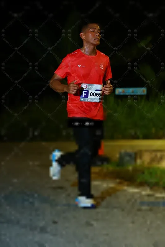 Photo ID 8428546