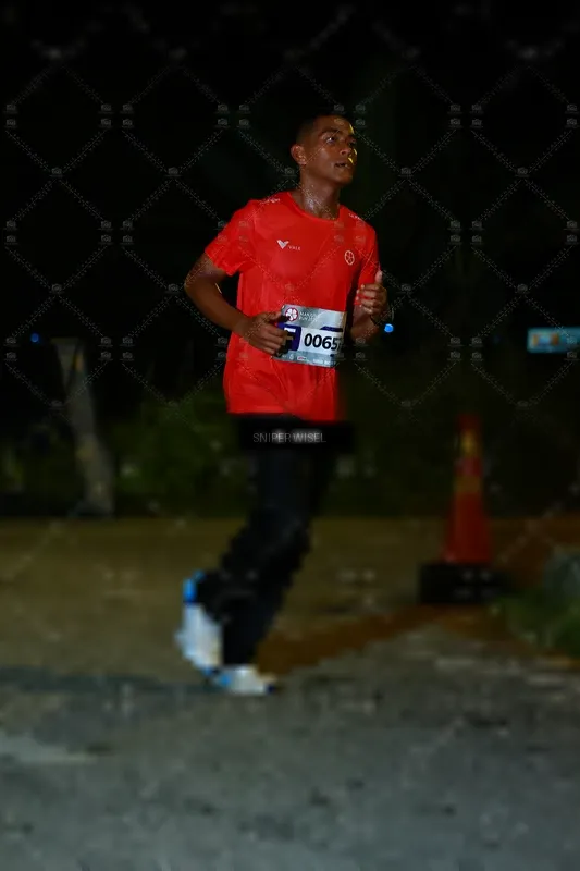 Photo ID 8428548