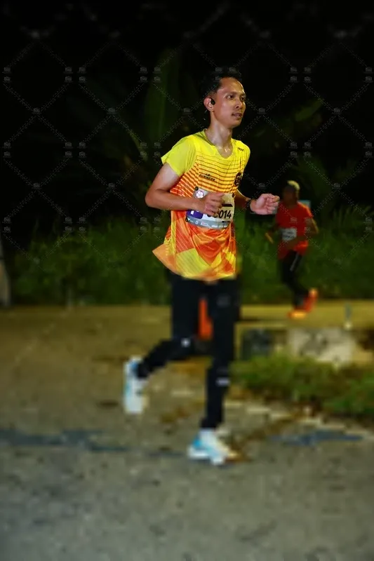 Photo ID 8428827