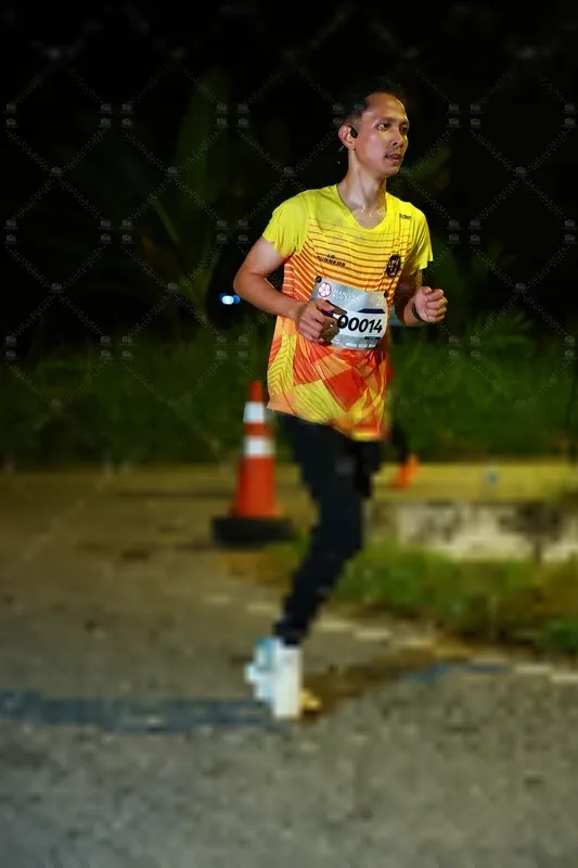 Photo ID 8428833