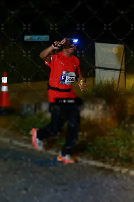 Photo ID 8428851