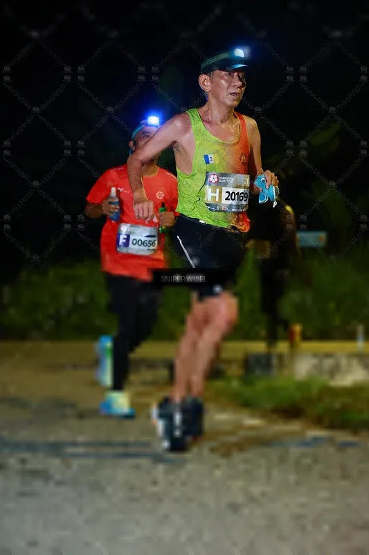 Photo ID 8429175