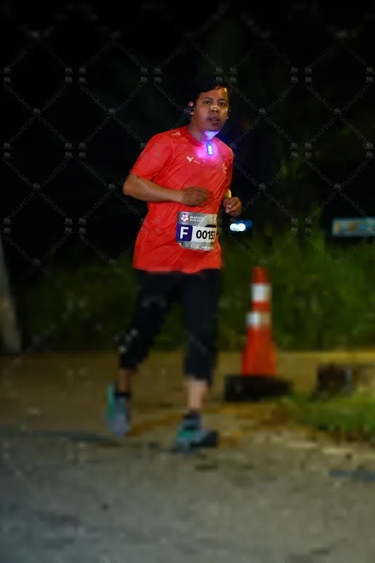 Photo ID 8429455