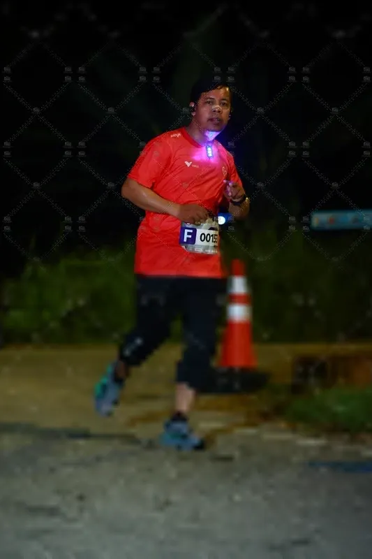 Photo ID 8429457