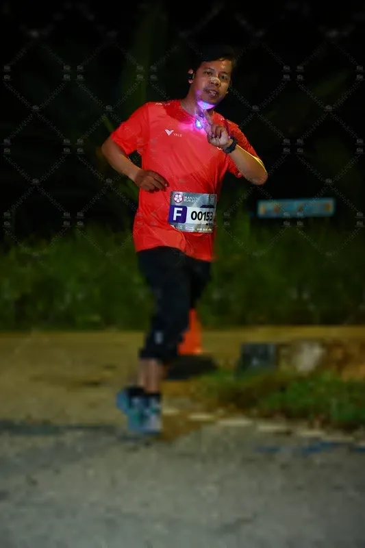 Photo ID 8429458
