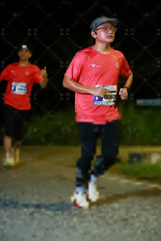 Photo ID 8429552