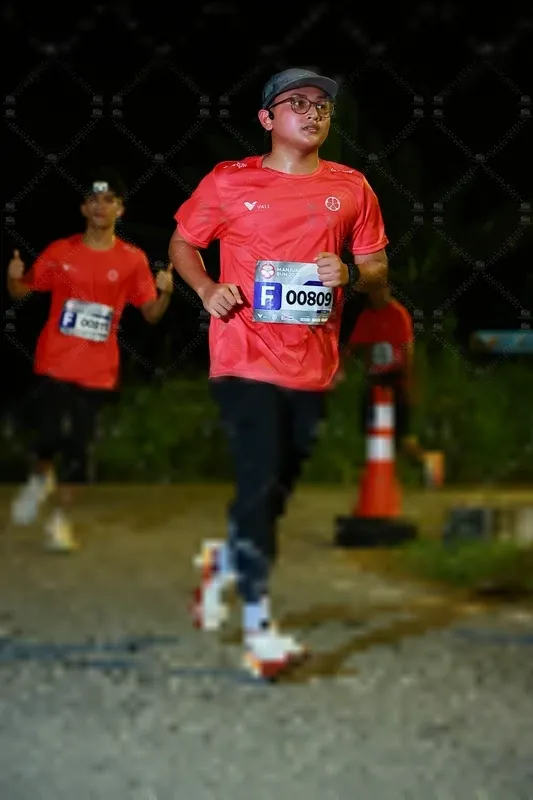 Photo ID 8429553