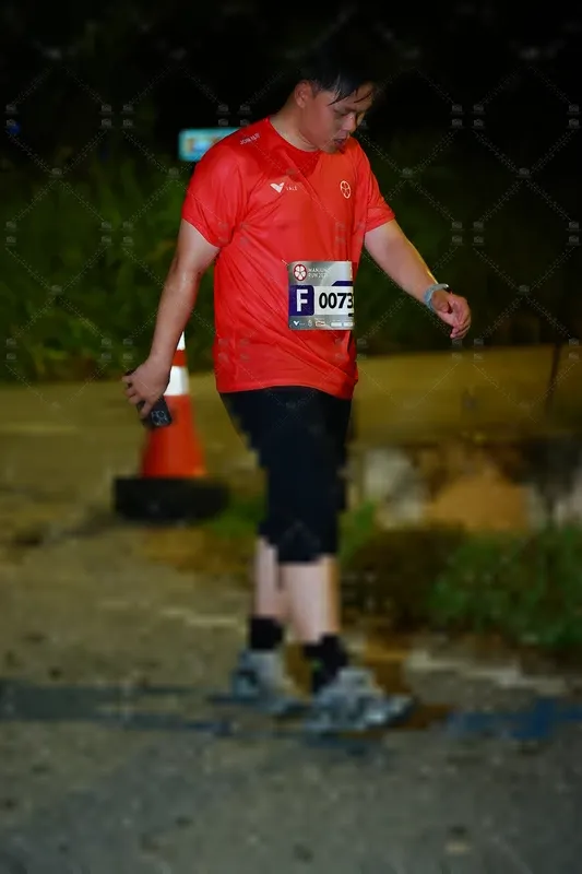 Photo ID 8429811