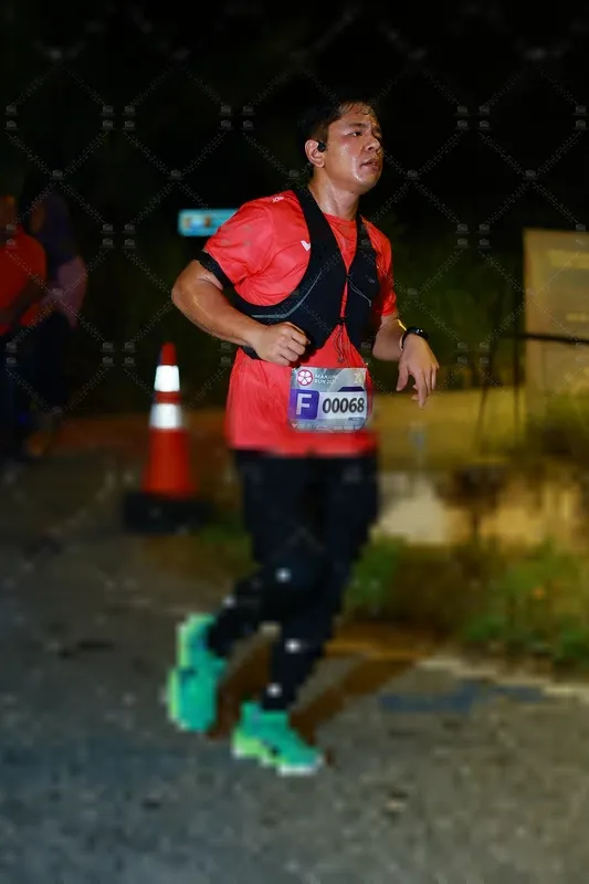 Photo ID 8429832